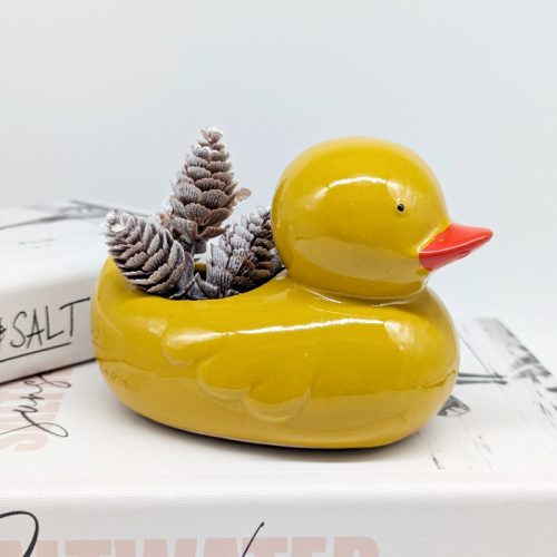 Quack Quack Duck Planter Pot