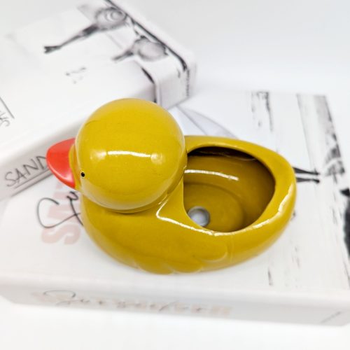 Quack Quack Duck Planter Pot
