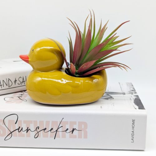 Quack Quack Duck Planter Pot