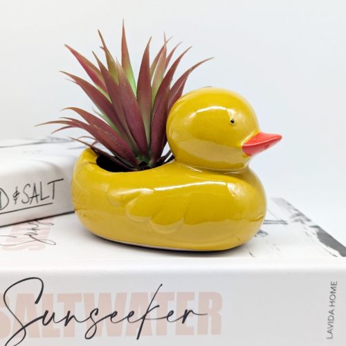 Quack Quack Duck Planter Pot