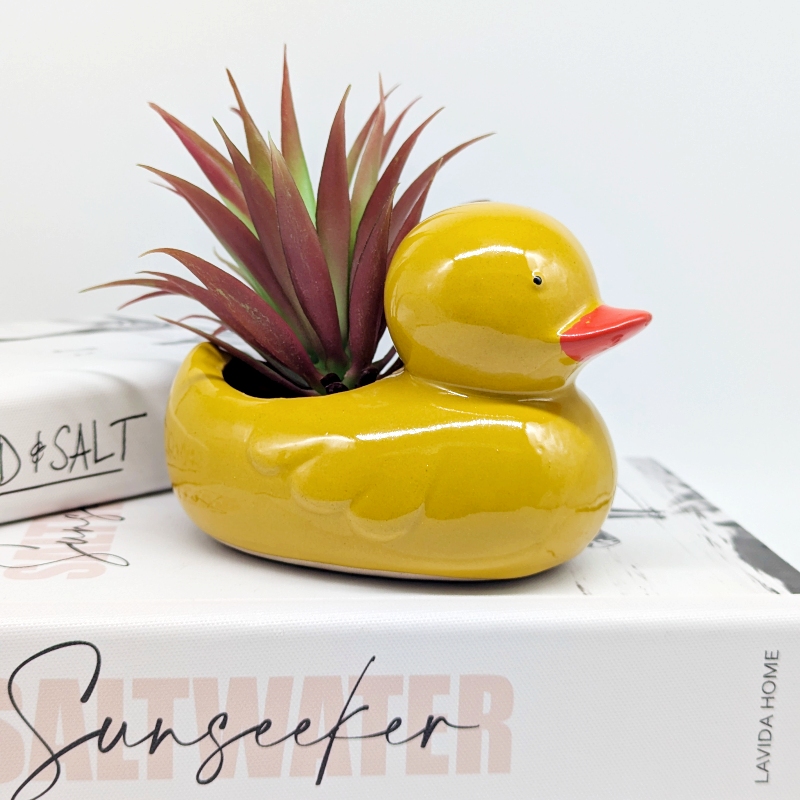 Quack Quack Duck Planter Pot