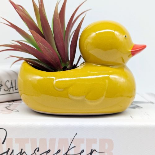 Quack Quack Duck Planter Pot