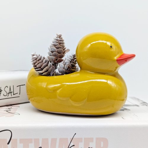 Quack Quack Duck Planter Pot