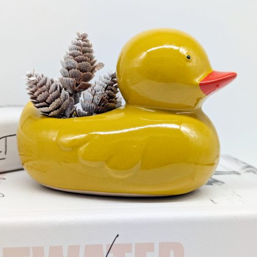 Quack Quack Duck Planter Pot
