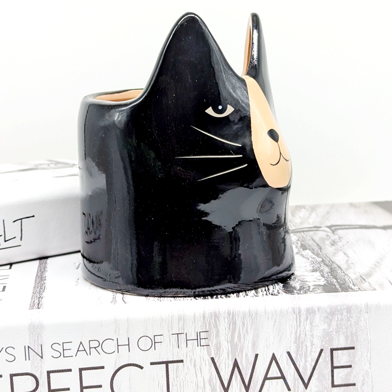 Black Cat Ceramic Planter Pot_20251103_033124772