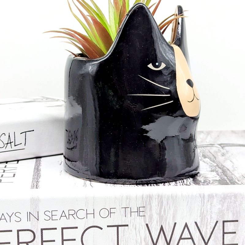 Black Cat Ceramic Planter Pot_20251103_033139679 Black Cat Ceramic Planter Pot