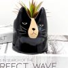 Black Cat Ceramic Planter Pot