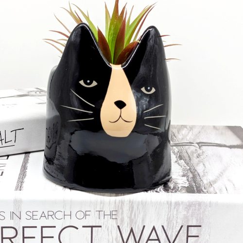 Black Cat Ceramic Planter Pot