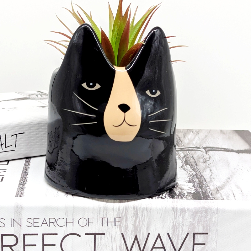 Black Cat Ceramic Planter Pot