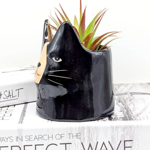 Black Cat Ceramic Planter Pot