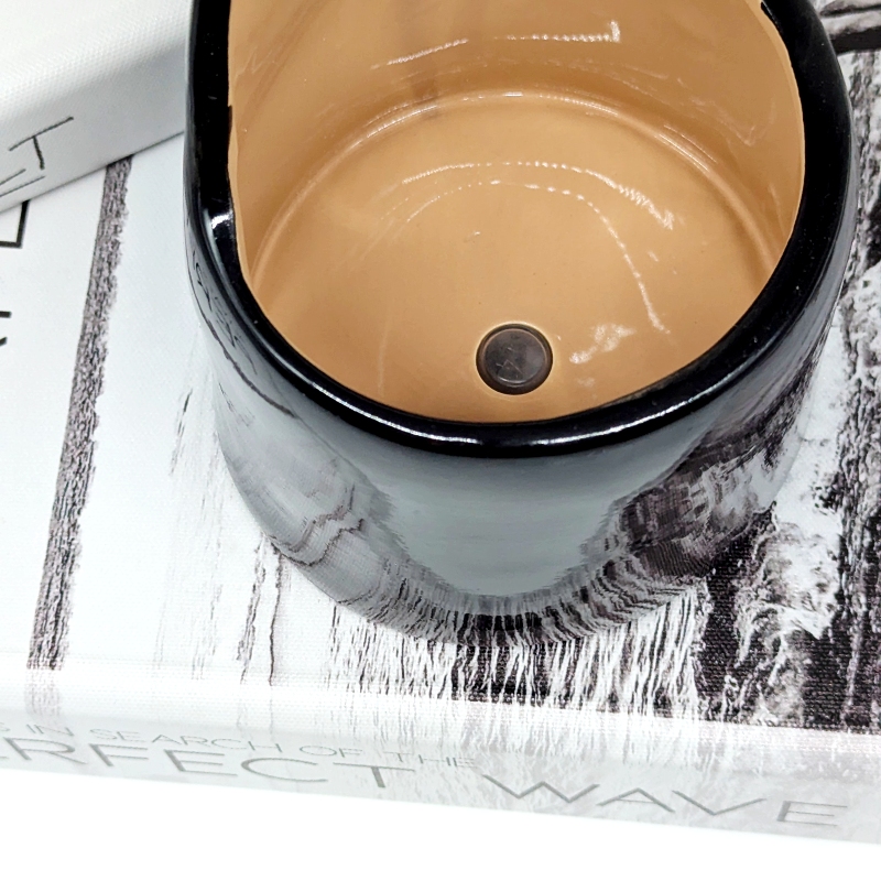 Black Cat Ceramic Planter Pot_20251103_033208088