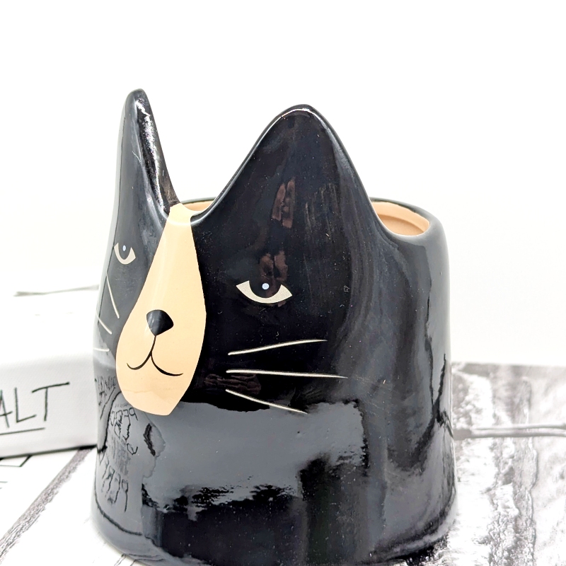 Black Cat Ceramic Planter Pot_20251103_033224758