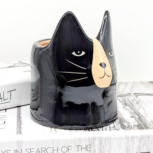 Black Cat Ceramic Planter Pot