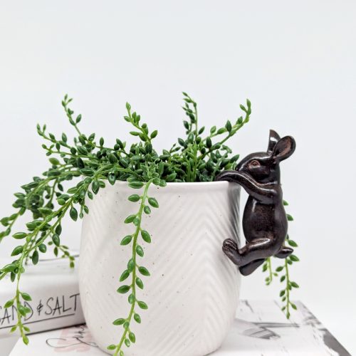 Bunny Rabbit Pot Hanger Sitter
