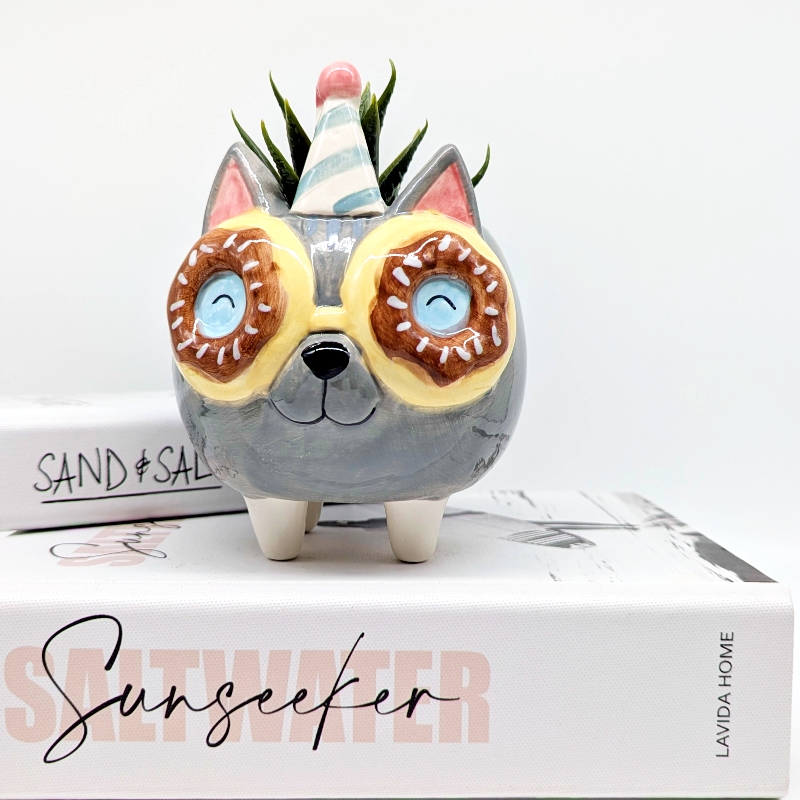 Donut Eyes Grey Cat Planter Pot