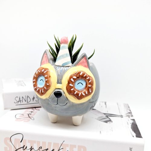 Donut Eyes Grey Cat Planter Pot