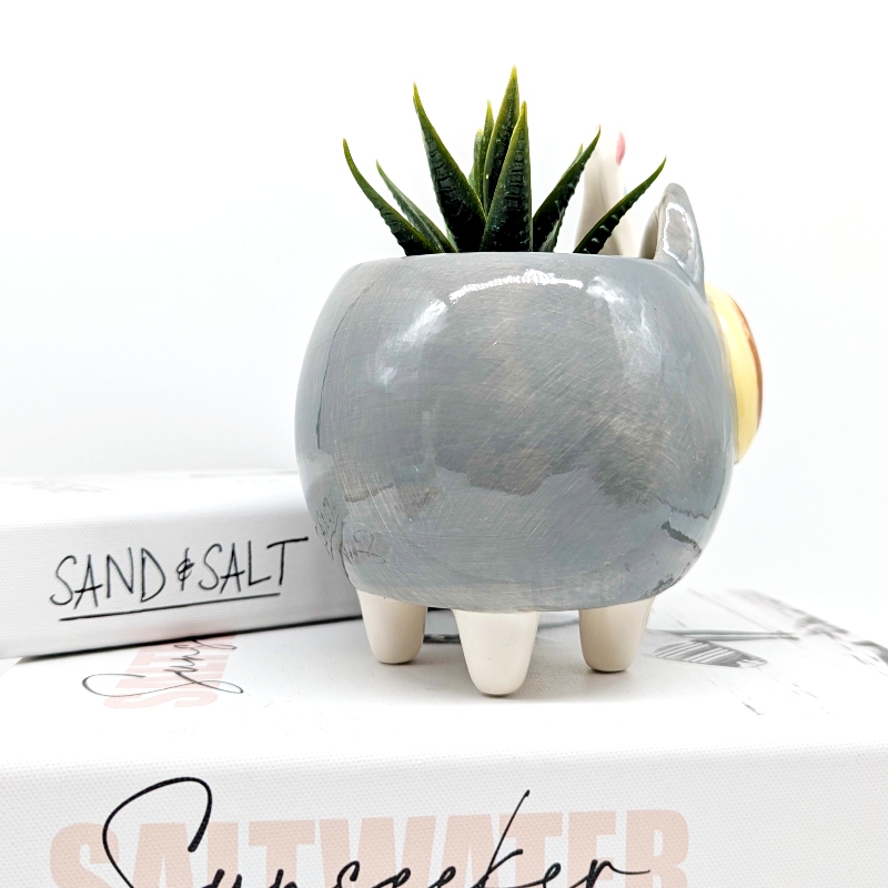 Donut Eyes Grey Cat Planter Pot_i