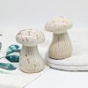 Earthy Mushroom Salt Pepper Shaker Set