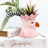 Galah Parrot Ceramic Planter Pot