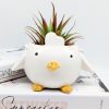 Hanging Chick Planter Pot