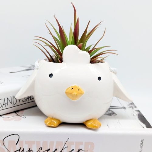 Hanging Chick Planter Pot