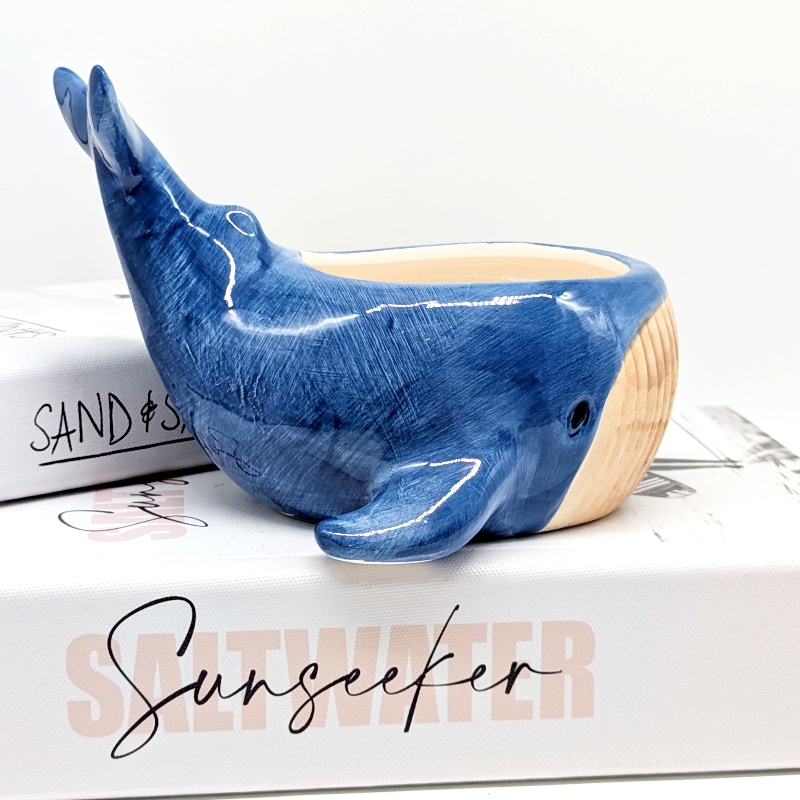 Happy Blue Whale Ceramic Planter Pot_A Happy Blue Whale Ceramic Planter Pot