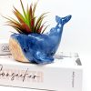 Happy Blue Whale Ceramic Planter Pot