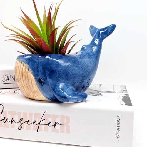Happy Blue Whale Ceramic Planter Pot