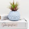Light Blue Urchin Vase Pot