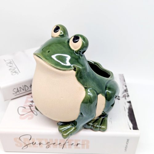 Smiling Green Frog Planter Pot
