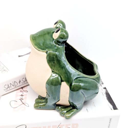 Smiling Green Frog Planter Pot