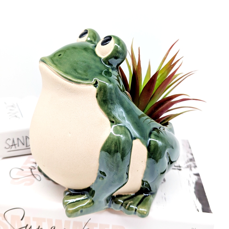 Smiling Green Frog Planter Pot