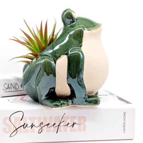 Smiling Green Frog Planter Pot