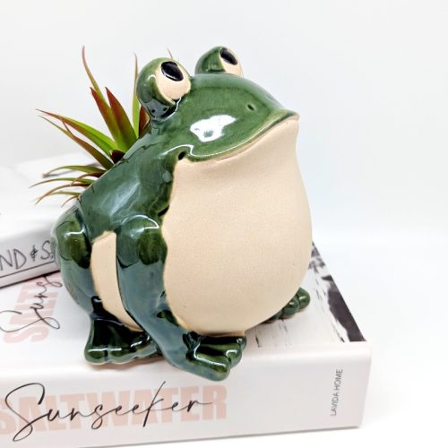 Smiling Green Frog Planter Pot