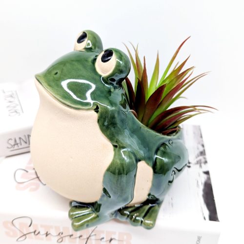 Smiling Green Frog Planter Pot