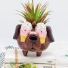 Sprinkle Eyes Brown Dog Planter Pot