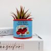 Tomato Can Ceramic Planter Pot