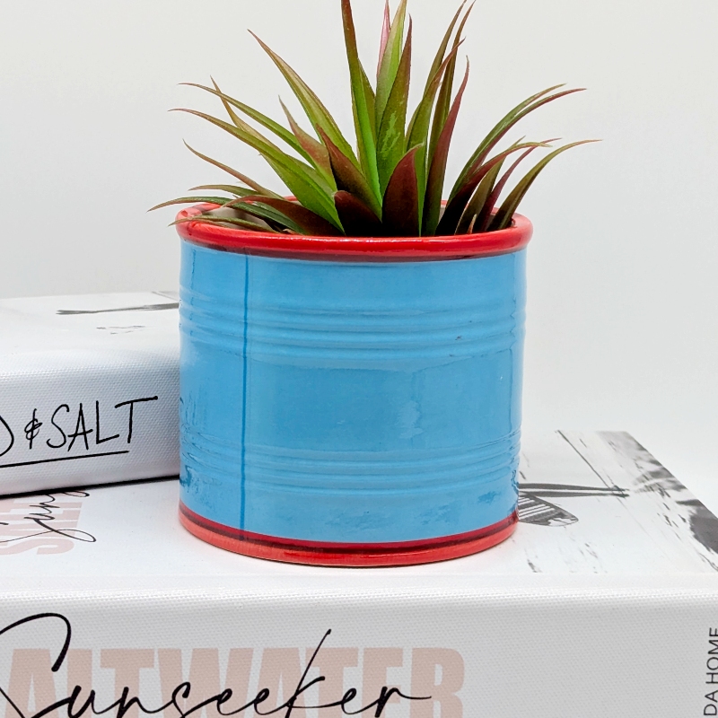 Tomato Can Ceramic Planter Pot_D