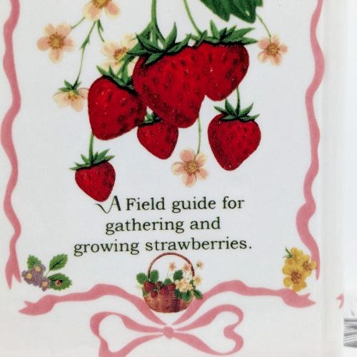 Bunch of Strawberries Ceramic Book Vase