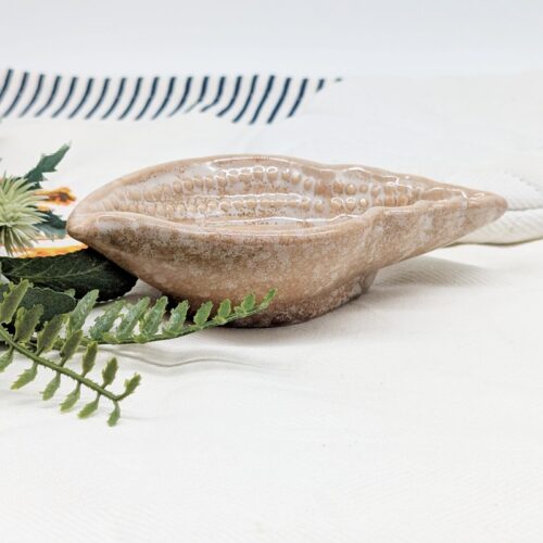 ceramic shell dish, shell trinket dish, coastal decor dish, jewelry dish, ring holder dish, milky white decor, beach home decor, vanity trinket tray, ocean inspired decor, small keepsake dish, ceramic jewelry tray, neutral home decor, gift for her