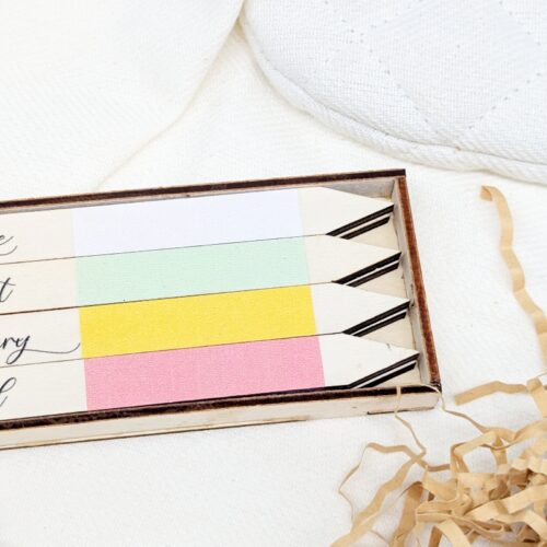 Vibrant Garden Plant Market Set