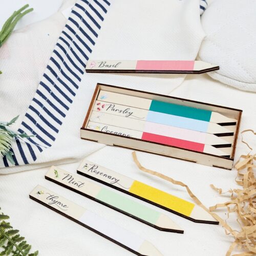 Vibrant Garden Plant Market Set