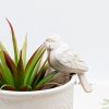 Milky White Bird Pot Hanger