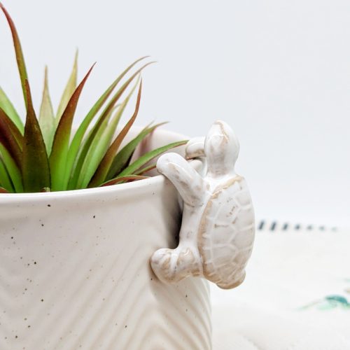Milky White Turtle Pot Hanger Sitter
