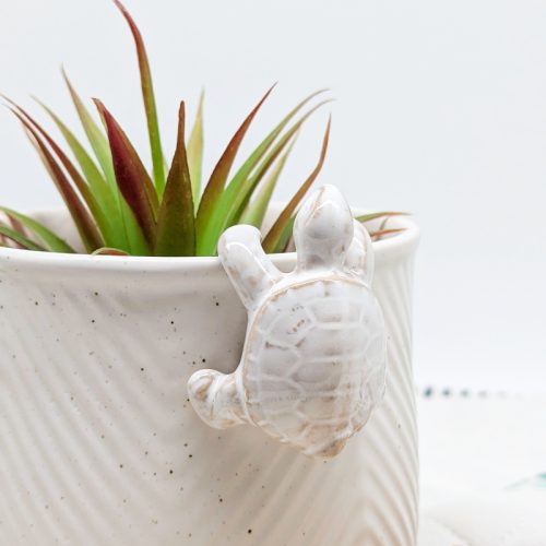 Milky White Turtle Pot Hanger Sitter