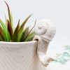 Milky White Snail Pot Hanger Sitter