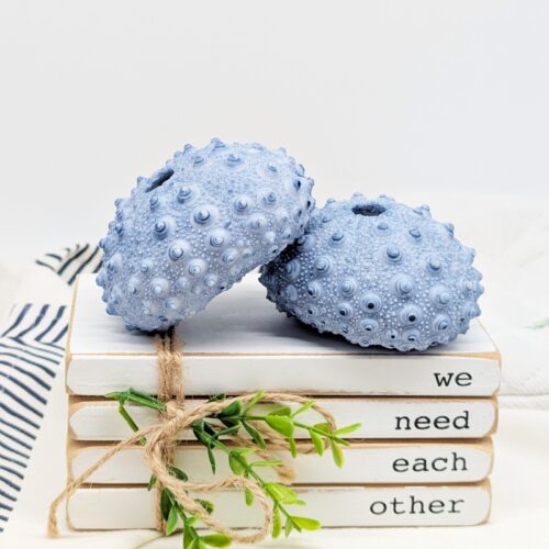 Blue Sea Urchin Coral Ornament