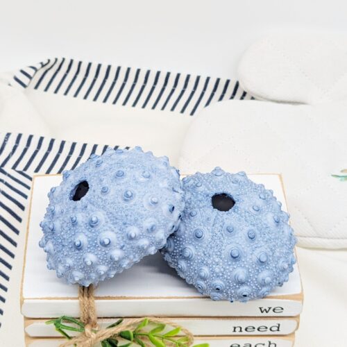 Blue Sea Urchin Coral Ornament