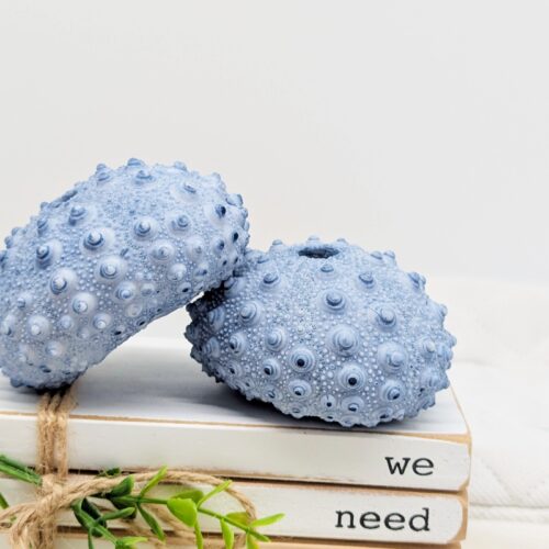 Blue Sea Urchin Coral Ornament