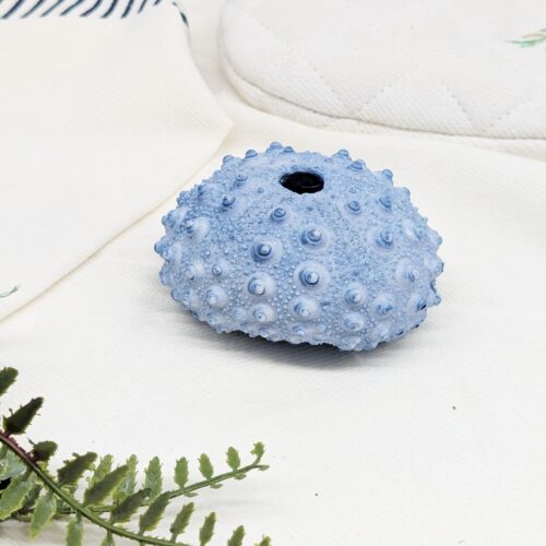 Blue Sea Urchin Coral Ornament